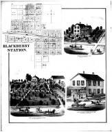 Blackberry Station, Harris Residence, Pooley Residence & Store, Preston Residence, Kane County 1872 Microfilm